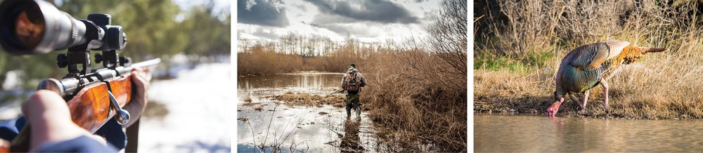 To Hunt Or Not To Hunt