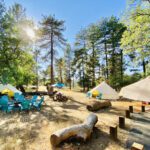 Tents and seating in forested area
