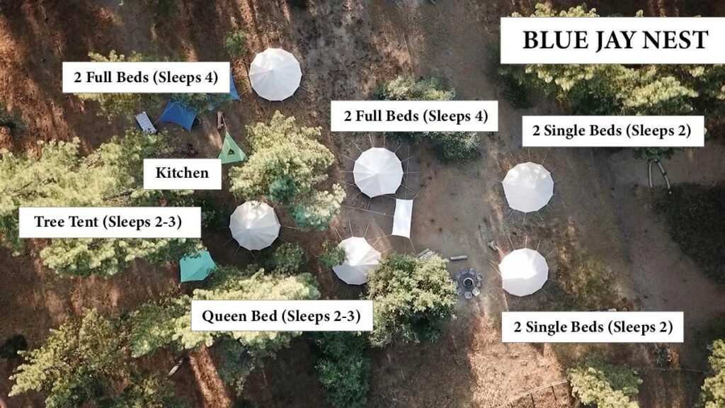 Blue Jay Map